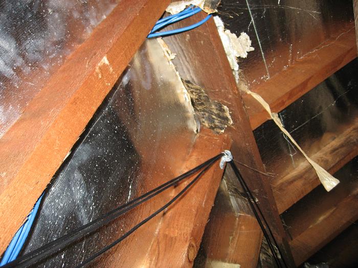 Coax Bundle near Roof Ridge Plate